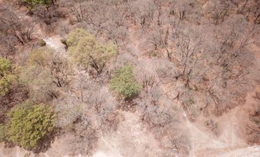 Terreno en venta de 1000 m2 Cruz de Sabinos Ciudad Ecológica