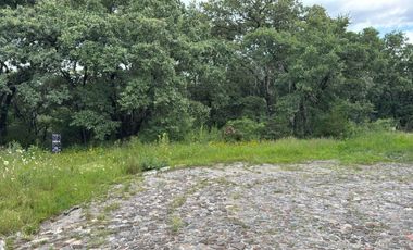 Terreno en venta de 1000 m2 Cruz de Sabinos Ciudad Ecológica