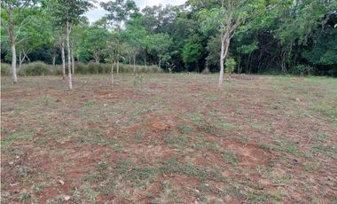 VENDO.LOTE EN.POTRERILLO ABAJO  8000 M2