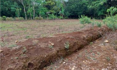 VENDO.LOTE EN.POTRERILLO ABAJO  8000 M2