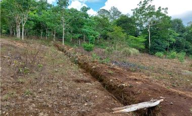 VENDO.LOTE EN.POTRERILLO ABAJO  8000 M2