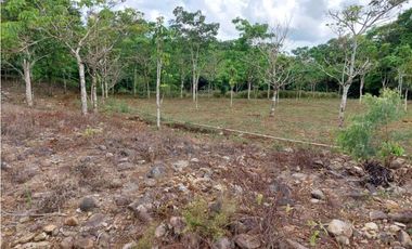 VENDO.LOTE EN.POTRERILLO ABAJO  8000 M2