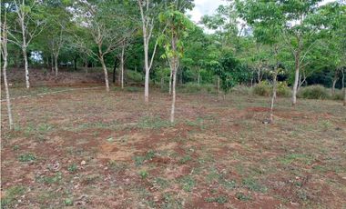 VENDO.LOTE EN.POTRERILLO ABAJO  8000 M2