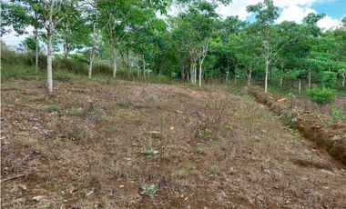 VENDO.LOTE EN.POTRERILLO ABAJO  8000 M2