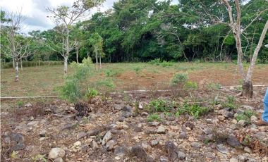 VENDO.LOTE EN.POTRERILLO ABAJO  8000 M2