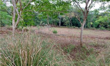 VENDO.LOTE EN.POTRERILLO ABAJO  8000 M2