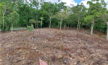 VENDO.LOTE EN.POTRERILLO ABAJO  8000 M2