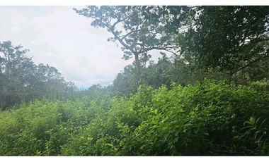 VENDO 2 HAS EN.PALMIRA