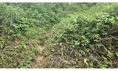 VENDO 2 HAS EN.PALMIRA