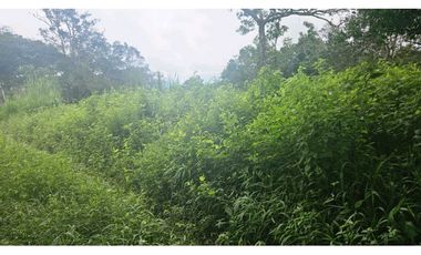 VENDO 2 HAS EN.PALMIRA