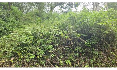 VENDO 2 HAS EN.PALMIRA