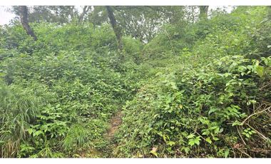 VENDO 2 HAS EN.PALMIRA