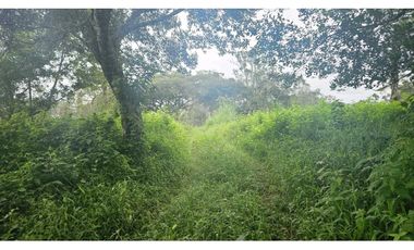 VENDO 2 HAS EN.PALMIRA