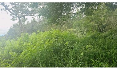 VENDO 2 HAS EN.PALMIRA