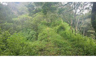 VENDO 2 HAS EN.PALMIRA