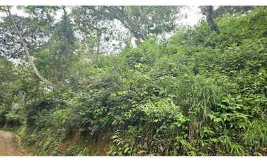 VENDO 2 HAS EN.PALMIRA