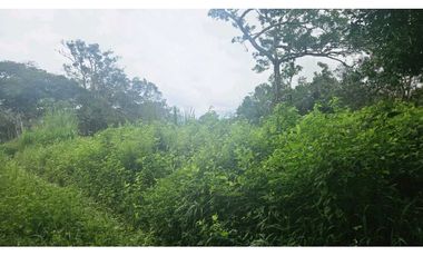 VENDO 2 HAS EN.PALMIRA