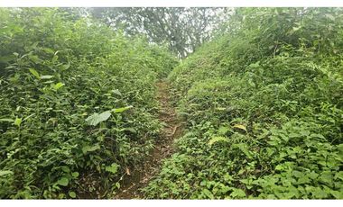 VENDO 2 HAS EN.PALMIRA