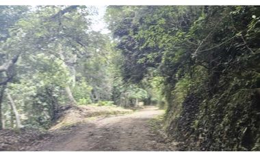 VENDO 2 HAS EN.PALMIRA