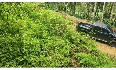 VENDO 2 HAS EN.PALMIRA