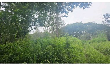 VENDO 2 HAS EN.PALMIRA