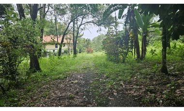VENDO.LOTE 2000 M2 EN.PALMIRA BOQUETE
