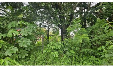 VENDO.LOTE 2000 M2 EN.PALMIRA BOQUETE