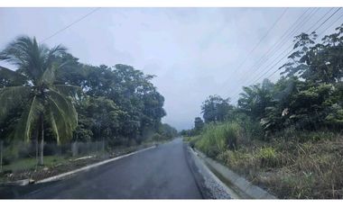 VENDO.LOTE 2000 M2 EN.PALMIRA BOQUETE