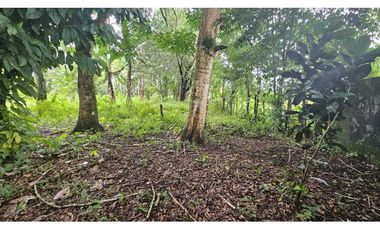 VENDO.LOTE 2000 M2 EN.PALMIRA BOQUETE