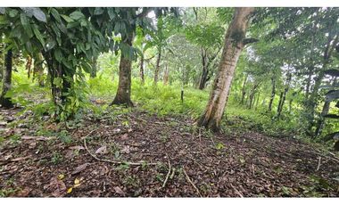 VENDO.LOTE 2000 M2 EN.PALMIRA BOQUETE