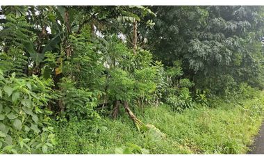 VENDO.LOTE 2000 M2 EN.PALMIRA BOQUETE