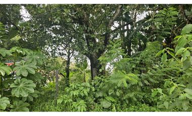 VENDO.LOTE 2000 M2 EN.PALMIRA BOQUETE