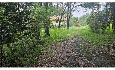 VENDO.LOTE 2000 M2 EN.PALMIRA BOQUETE