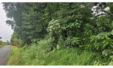 VENDO.LOTE 2000 M2 EN.PALMIRA BOQUETE
