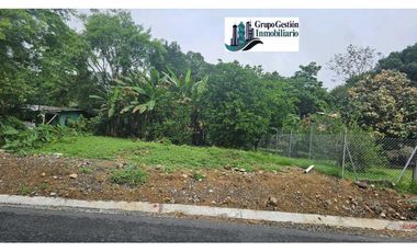VENDO LOTE CHIRIQUI 742.45 M2