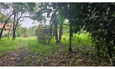 VENDO LOTE CHIRIQUI 742.45 M2
