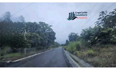 VENDO LOTE CHIRIQUI 742.45 M2