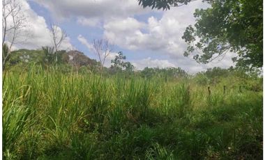 VENDO LOTE CHIRIQUI 742.45 M2
