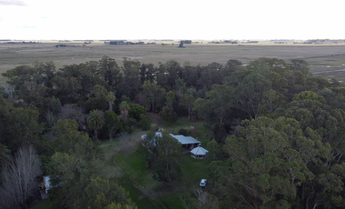 CASA QUINTA en Punta Indio - y algo mas....
