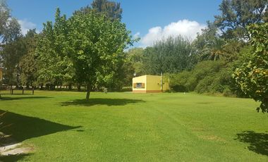 CASA QUINTA en Punta Indio - y algo mas....