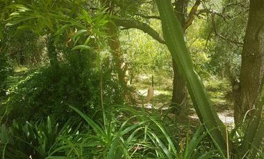 CASA QUINTA en Punta Indio - y algo mas....