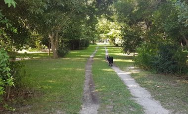 CASA QUINTA en Punta Indio - y algo mas....