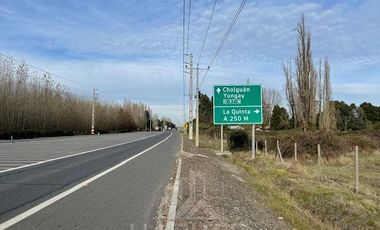 Agrícola en Venta en Terreno La Quinta ubicado a 1300 metros al sur del enlace Cabrero con ruta 5 Sur