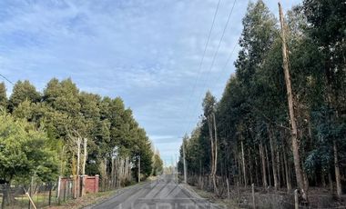 Agrícola en Venta en Terreno La Quinta ubicado a 1300 metros al sur del enlace Cabrero con ruta 5 Sur