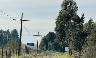 Agrícola en Venta en Terreno La Quinta ubicado a 1300 metros al sur del enlace Cabrero con ruta 5 Sur