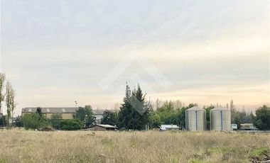 Terreno Construccion  en Venta en Av. Cañaveral 100, Quilicura