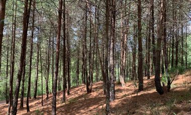 HERMOSO TERRENO EN VENTA, SECTOR TUTUPALI