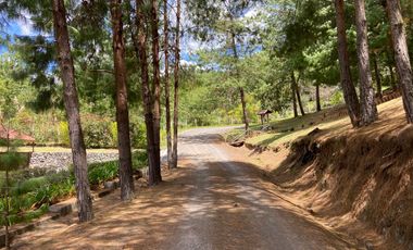 HERMOSO TERRENO EN VENTA, SECTOR TUTUPALI