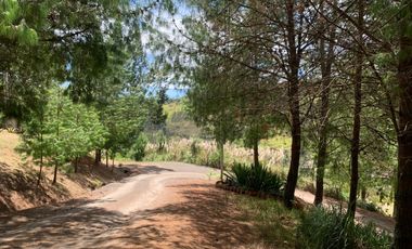 HERMOSO TERRENO EN VENTA, SECTOR TUTUPALI