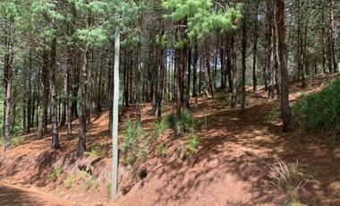 HERMOSO TERRENO EN VENTA, SECTOR TUTUPALI